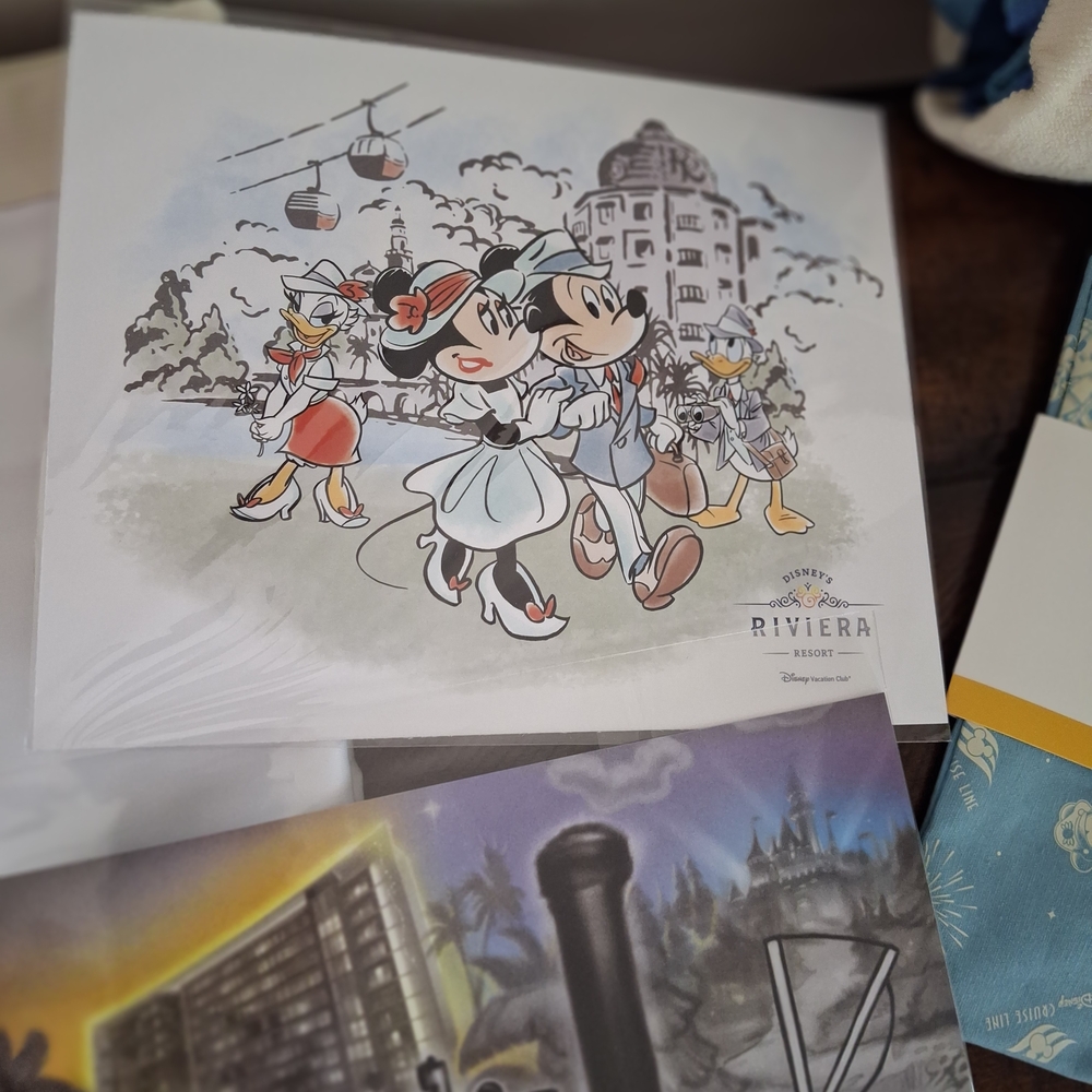 Disney Castaway Club Platinum Gift Set + DVC Items - Picture 7 of 11